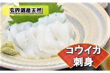これは食べなイカん！！ お刺身コウイカ600g（50g×12P）[G0081]