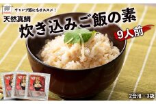 キャンプ飯にもオススメ！天然真鯛 炊き込みご飯の素9人前（2合用×3袋）[F0111]