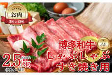 【お肉定期便】【厳選部位】【しゃぶしゃぶすき焼き用】博多和牛サーロイン5回定期便（500g×5回）計2.5kg[G0100T5]