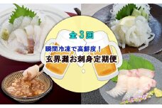 【3回定期便】瞬間冷凍で高鮮度！玄界灘お刺身定期便2025[F7028]