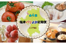 【4回定期便（入門編）】福津バリよか定期便2025[F7024]