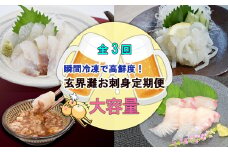 【3回定期便】【大容量】瞬間冷凍で高鮮度！玄界灘お刺身定期便2025[F7029]