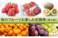 【年5回】旬のフルーツ定期便★あんずの里【随時開始】[F7032]