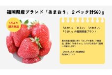 【2026年1月より順次発送】福岡県産ブランドいちご「あまおう」2パック計560ｇ★あんずの里[G0161]