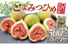 福岡県産いちじく「とよみつひめ」　冷凍パック500g（500g×1袋）[G2325]