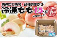 【2025年8月より順次発送】摘みたて瞬間★品種おまかせ冷凍もも小分けパック1.5kg（250g×6P)[G0158]