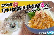 玄界灘産 甲いか漬け丼の素8人前（70g×8P）★1人前ずつ個包装[G0166]