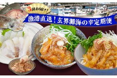 【3回届く！】漁港直送！玄界灘海の幸定期便★水揚げされたての高鮮度を活かした地魚刺身・漬けを3回お届け！[G7059]