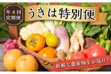 【年4回定期便】うきは特別便 季節の特産品詰め合わせ 各2kg×4回 (1月・6月・8月・11月) お届け