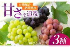 【先行予約】有機配合肥料使用 種なし ハウスぶどう 3種セット 2025年7月中旬から8月上旬 出荷予定【春光園】 ぶどう ブドウ 葡萄 果物 フルーツ 詰め合わせ
