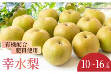 【先行予約】有機配合肥料使用 幸水梨 10玉から16玉 2025年8月中旬から8月下旬 出荷予定【春光園】 梨 なし 果物 フルーツ
