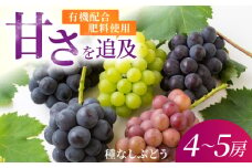 【先行予約】有機配合肥料使用 種なし ハウスぶどう 4~5房 プレミアムセット 2025年7月中旬から8月上旬 出荷予定【春光園】 ぶどう ブドウ 葡萄 果物 フルーツ 詰め合わせ