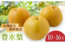 【先行予約】有機配合肥料使用 豊水梨 10玉から16玉 2025年8月中旬から8月下旬 出荷予定【春光園】 梨 なし 果物 フルーツ