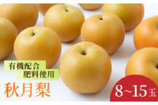 【先行予約】有機配合肥料使用 秋月梨 8玉から15玉 2025年8月下旬から9月上旬 出荷予定【春光園】 梨 なし 果物 フルーツ