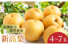 【先行予約】有機配合肥料使用 新高梨 4玉から7玉 2025年9月中旬から9月下旬 出荷予定【春光園】 梨 なし 果物 フルーツ