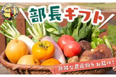 道の駅 うきは 部長ギフト （新鮮な農産物・特産品 約2kg） 野菜 ベジタブル 果物 くだもの フルーツ 農産物 特産品 特産 新鮮 フレッシュ 朝採れ 詰め合わせ 詰合せ セット ミックス お取り寄せ 福岡県 うきは市
