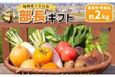 道の駅 うきは 部長ギフト （新鮮な農産物・特産品 約2kg） 野菜 ベジタブル 果物 くだもの フルーツ 農産物 特産品 特産 新鮮 フレッシュ 朝採れ 詰め合わせ 詰合せ セット ミックス お取り寄せ 福岡県 うきは市