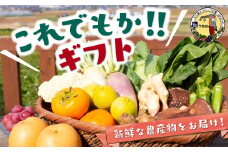 道の駅 うきは これでもか！！ ギフト （新鮮な農産物・特産品 約4.5kg） 野菜 ベジタブル 果物 くだもの フルーツ 農産物 特産品 特産 新鮮 フレッシュ 朝採れ 詰め合わせ 詰合せ セット ミックス お取り寄せ 福岡県 うきは市