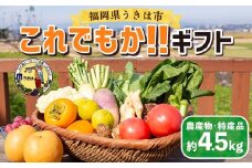道の駅 うきは これでもか！！ ギフト （新鮮な農産物・特産品 約4.5kg） 野菜 ベジタブル 果物 くだもの フルーツ 農産物 特産品 特産 新鮮 フレッシュ 朝採れ 詰め合わせ 詰合せ セット ミックス お取り寄せ 福岡県 うきは市