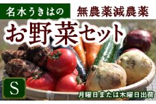 UIC 名水うきはの無農薬減農薬お野菜セットS