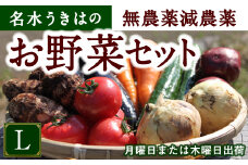 UIC 名水うきはの無農薬減農薬お野菜セットL