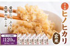 【12ヶ月定期便】日永園 ヒノヒカリ 玄米 10kg×12ヶ月 【2025年11月下旬より発送予定】 米 お米 ご飯  うきは市