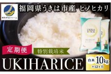 【12ヶ月定期便】みずほファーム UKIHA RICE (白米10kg×12ヶ月)  【特別栽培米】 【2025年11月より順次発送予定】 米 ヒノヒカリ お米 ご飯 うきは市