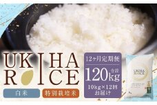 【12ヶ月定期便】みずほファーム UKIHA RICE (白米10kg×12ヶ月)  【特別栽培米】 【2025年11月より順次発送予定】 米 ヒノヒカリ お米 ご飯 うきは市