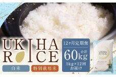 【12ヶ月定期便】みずほファーム UKIHA RICE (白米5kg×12ヶ月)   【特別栽培米】【2025年11月より順次発送予定】 米 ヒノヒカリ お米 ご飯 うきは市
