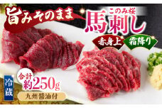 【鮮度抜群！冷蔵お届け】上馬刺し 2種 食べ比べ 計250g 赤身(150g) 霜降り(100g)  ブランド馬肉「このみ桜」馬刺し用醤油付き【馬庵このみ】馬刺し 馬肉 霜降り 赤身ブロック 国産 九州産 冷蔵