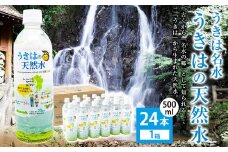 うきは名水 うきはの天然水 (500ml×24本入り) 1箱 ナチュラルミネラルウォーター