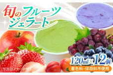 【果樹園が作る】素材の味を楽しめる 旬のジェラート 120ml×12個セット【ソルベッチdoうきは】着色料不使用 ノンホモ牛乳使用 ジェラート アイス 旬 スイーツ 詰め合わせ セット シャーベット ミルク フルーツ デザート