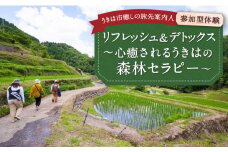 【参加型体験】リフレッシュ&デトックス 心癒されるうきはの森林セラピー ／ 癒やし リフレッシュ 森 うきは市
