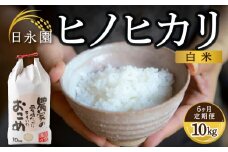 【6ヶ月定期便】日永園 ヒノヒカリ 白米10kg×6ヶ月 【2025年11月下旬より発送予定】 米 お米 ご飯  うきは市