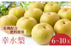 【先行予約】有機配合肥料使用 幸水梨 6玉から10玉 2025年8月中旬から8月下旬 出荷予定【春光園】 梨 なし 果物 フルーツ