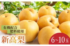 【先行予約】有機配合肥料使用 新高梨 6玉から10玉 2025年9月中旬から9月下旬 出荷予定【春光園】 梨 なし 果物 フルーツ