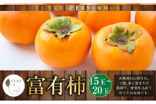 【先行予約】石井農園 富有柿 15玉から20玉 2025年11月中旬から12月上旬 出荷予定