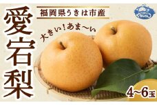 やまんどん 愛宕梨 4玉～6玉 【2025年11月上旬発送予定】 ／ ナシ 梨 果物 フルーツ くだもの うきは市