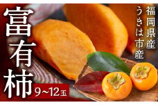 【先行予約】柿屋うちやま 富有柿 9玉から12玉 2025年11月中旬から12月上旬 出荷予定