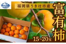 【先行予約】やまんどん 富有柿 15玉から20玉 2025年11月下旬から12月上旬 出荷予定