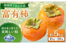 【先行予約】やまんどん 富有柿 15玉から20玉 2025年11月下旬から12月上旬 出荷予定