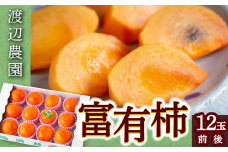 【先行予約】渡辺農園 富有柿 12玉前後 2025年11月中旬から12月上旬 出荷予定