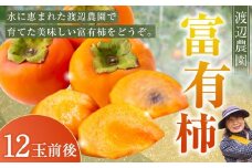 【先行予約】渡辺農園 富有柿 12玉前後 2025年11月中旬から12月上旬 出荷予定