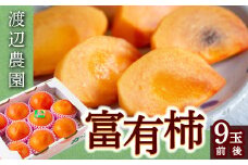 【先行予約】渡辺農園 富有柿 9玉前後 2025年11月中旬から12月上旬 出荷予定