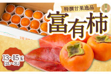 【先行予約】鈴木農園 特撰甘果逸品 富有柿 13玉から15玉(2Lから3Lｻｲｽﾞ) 2025年11月中旬から12月上旬 出荷予定