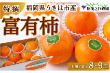 【先行予約】原茂之巨峰園 特撰 富有柿 大玉(3L) 8玉から9玉 2025年11月中旬から11月下旬 出荷予定