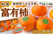 【先行予約】原茂之巨峰園 特撰 富有柿 大玉(3L) 8玉から9玉 2025年11月中旬から11月下旬 出荷予定