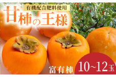 【先行予約】有機配合肥料使用 富有柿 10玉から12玉 2025年11月上旬から11月下旬 出荷予定【春光園】 柿 かき 甘柿 甘い 果物 フルーツ