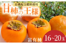 【先行予約】有機配合肥料使用 富有柿 16玉から20玉 2025年11月上旬から11月下旬 出荷予定【春光園】 柿 かき 甘柿 甘い 果物 フルーツ