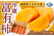 【先行予約】やまんどん 冷蔵富有柿 2Lサイズ 10玉前後 2025年12月中旬から12月下旬 出荷予定